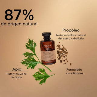 Apivita Shampoo Anticaspa Cabello Seco 250ml