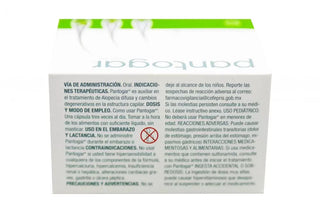 Megalab Pantogar Caja Con 90 Cápsulas